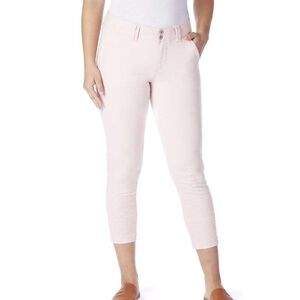 Jag Jeans Plus Flora Embroidered Cropped Conch-Shell Pants 14W NWT Classic Fit